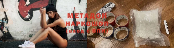 прущие грибы Дмитровск