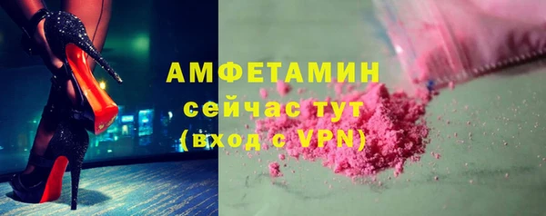 ГАЛЛЮЦИНОГЕННЫЕ ГРИБЫ Гусь-Хрустальный