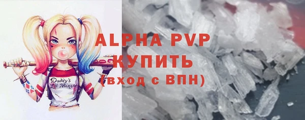 apvp Гусиноозёрск