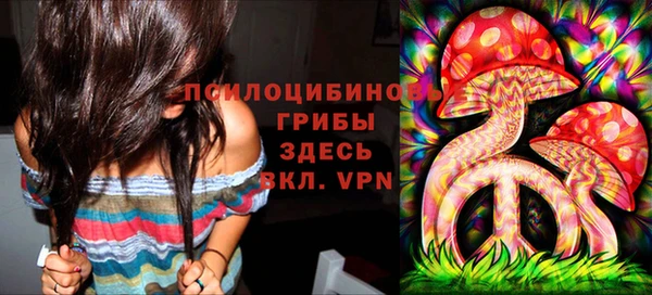 a pvp Гусев