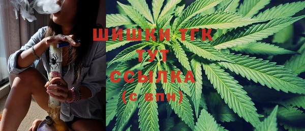 a pvp Гусев