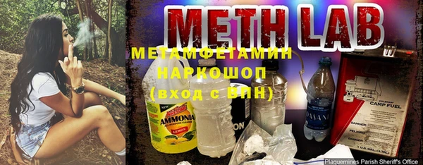 прущие грибы Дмитровск