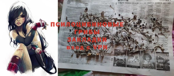 a pvp Гусев