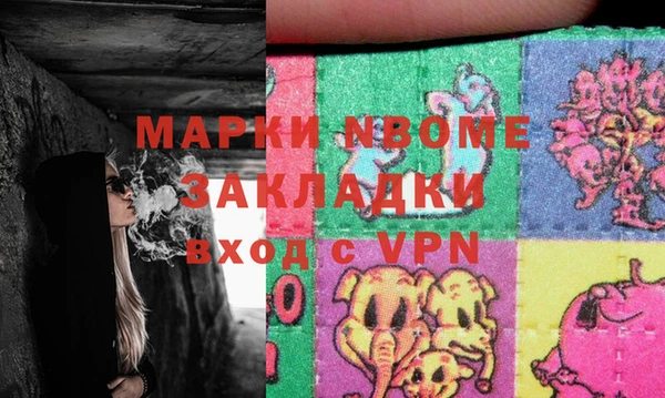 прущие грибы Дмитровск