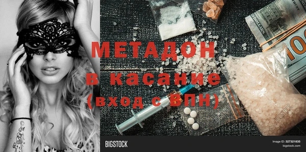 прущие грибы Дмитровск