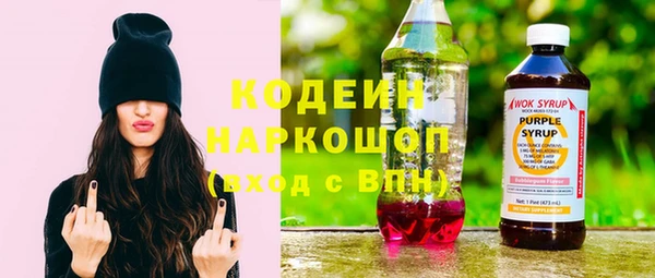 ГАЛЛЮЦИНОГЕННЫЕ ГРИБЫ Гусь-Хрустальный
