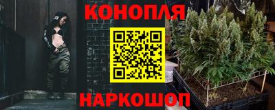 СК Камышлов