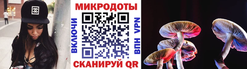 Галлюциногенные грибы Magic Shrooms  МЕГА онион  Нижний Новгород 